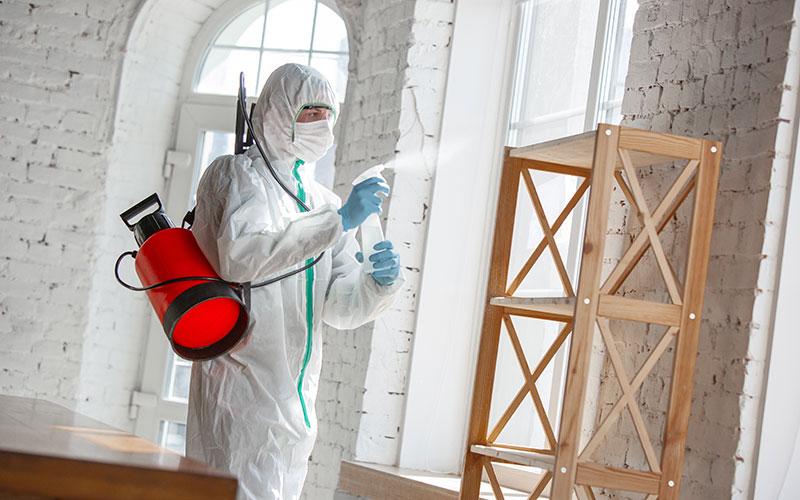 Απεντόμωση Airbnb 2 person spraying Απεντόμωση Airbnb 2 person spraying
