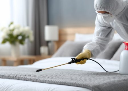 Απεντόμωση Airbnb - Τι ορίζει η νομοθεσία και γιατί πρέπει να έχετε πιστοποιητικό