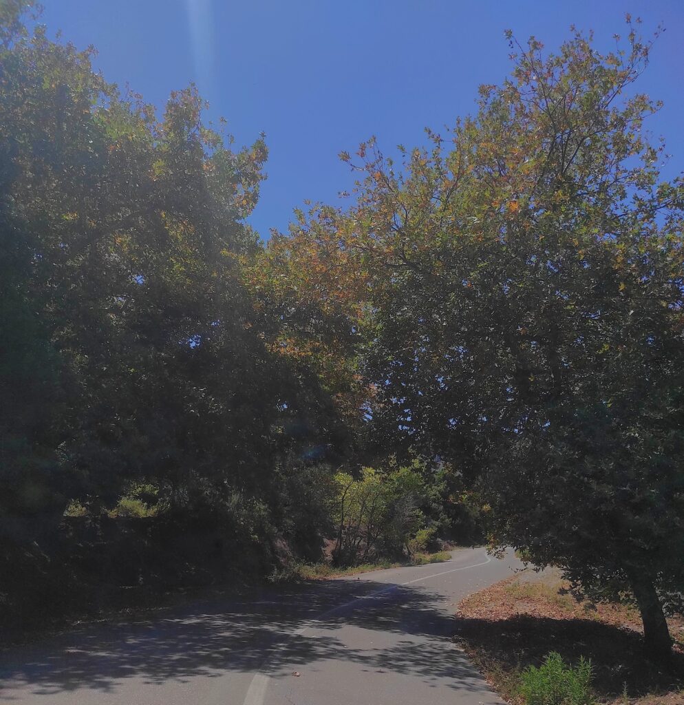 1753698564070