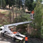 DJI_0559