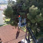 DJI_0704