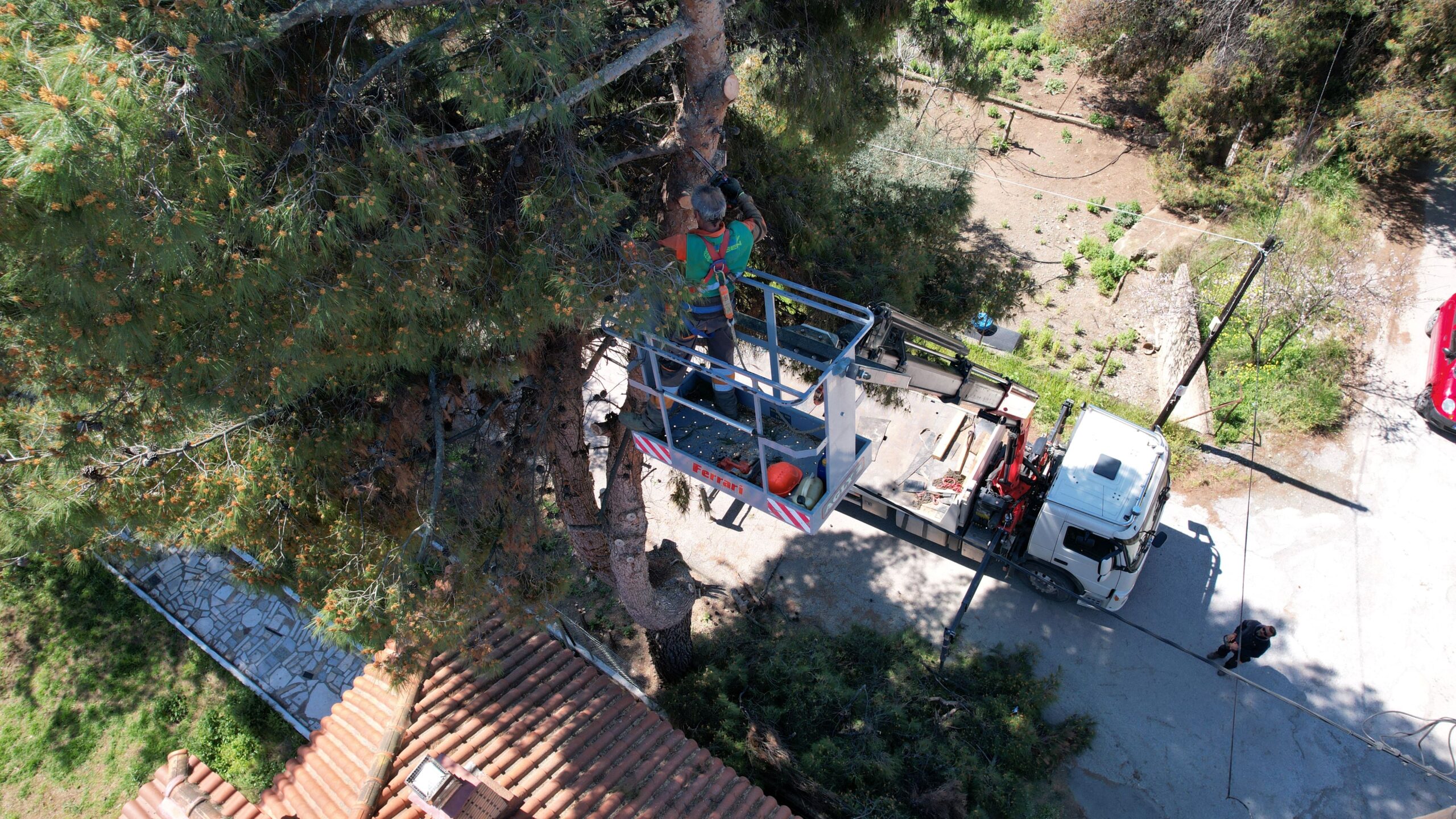 DJI_0721_crop