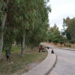 DJI_0848