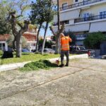 IMG20240415115635