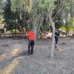 IMG20240418095201