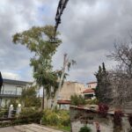 IMG20250212091255