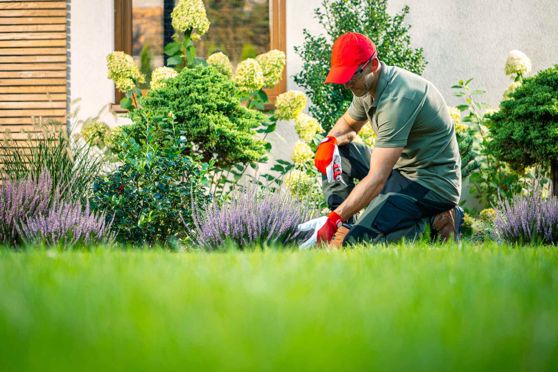 garden_design