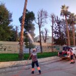 20251229_083040[1]