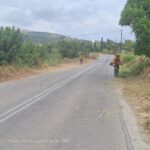 IMG-93fe8538b88fd29b9d9e033c498bbdd3-V