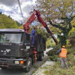 Δασοτεχνικά έργα αντιπυρικής & αντιδιαβρωτικής προστασίας