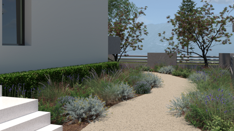 view01_5